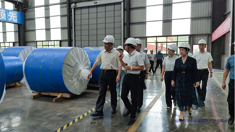 湖北省政協黨組成員、副主席馬旭明一行到久達新材考察調研